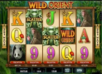 Wild orient