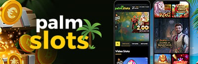 palm-slots-desktop-banner